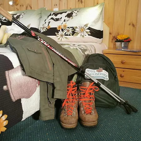 Walliserhof-leukerbad-therme Otel Leukerbad