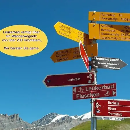 Hotel Walliserhof-leukerbad-therme 3*