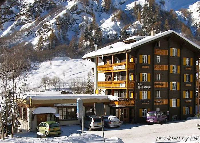 Walliserhof-leukerbad-therme 3*