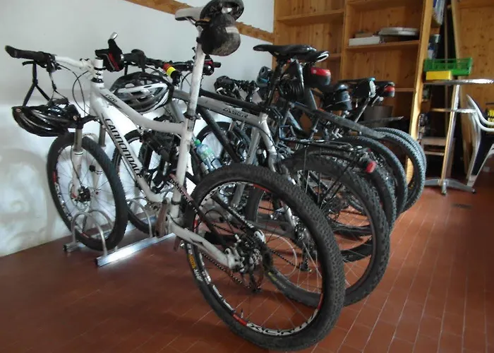 Walliserhof-leukerbad-therme 酒店 3*